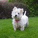 Bonnie Patrick Photo 17