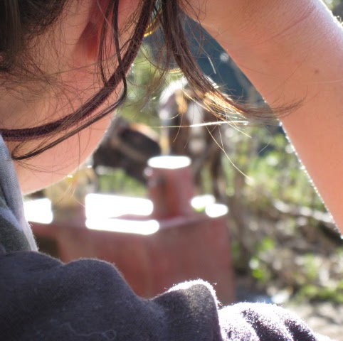 Anne Nelson Photo 4