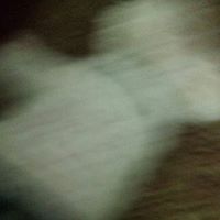 Christine Doherty Photo 19