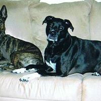 Sandy Conley Photo 14