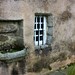 Ross Lumsden Photo 12