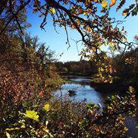Jennifer Waldner Photo 8