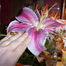 Ouida White Photo 7
