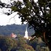James Culp Photo 22
