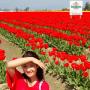 Huong Huynh Photo 21