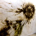 Guo Jiang Photo 11