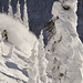 Aaron Robinson Photo 9