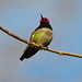 Anna Winters Photo 20
