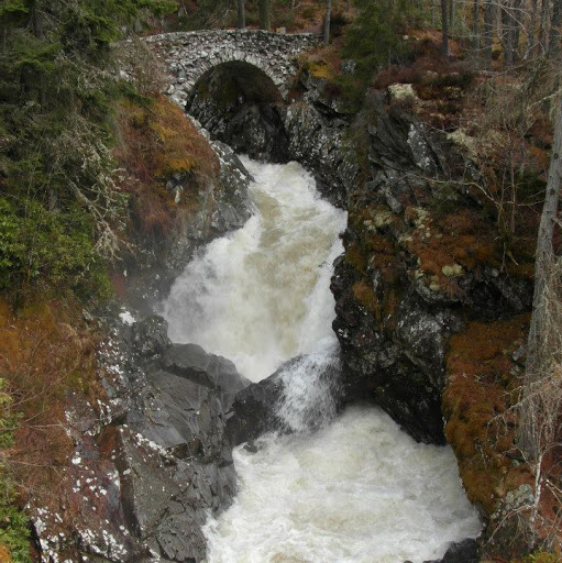 Robert Mackenzie Photo 43