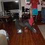 Dan Huynh Photo 31