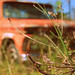 Peggy Wheat Photo 7