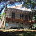 Thomas Martino Photo 10