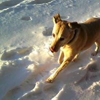 Sandy Drew Photo 7
