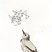 Christine Lindstrom Photo 13