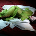 Elizabeth Lohr Photo 9