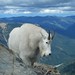 Ann Hauser Photo 33