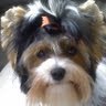 Sharon Strong Photo 44