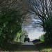 Philip Hedges Photo 10