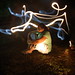 Sammy Light Photo 5