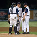 David Pitcher Photo 25