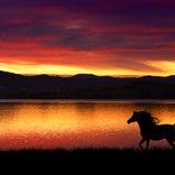 Sharon Hamby Photo 25