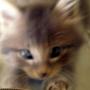 Robin Tidwell Photo 15