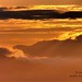 Ray Marin Photo 18