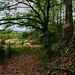 James Meadows Photo 52