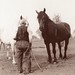 Henry Montgomery Photo 6