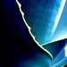 David Aloe Photo 8