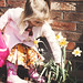 Tina Hunt Photo 13