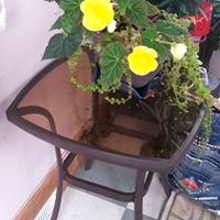 Joann Erickson Photo 18