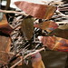 Steven Gleason Photo 31