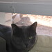 Tammy Justice Photo 24