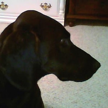 Kathryn Lentz Photo 2