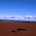 Sandy Spicer Photo 5
