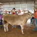 Connie Brannon Photo 17