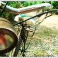 Nancy Silvers Photo 30