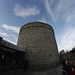 Joyce Tower Photo 7