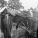 Virginia Shaw Photo 19