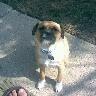 Thomas Mcnichols Photo 15