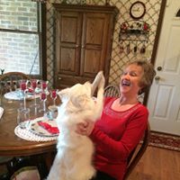 Judy Lawson Photo 27