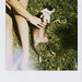Sherry Mayo Photo 13