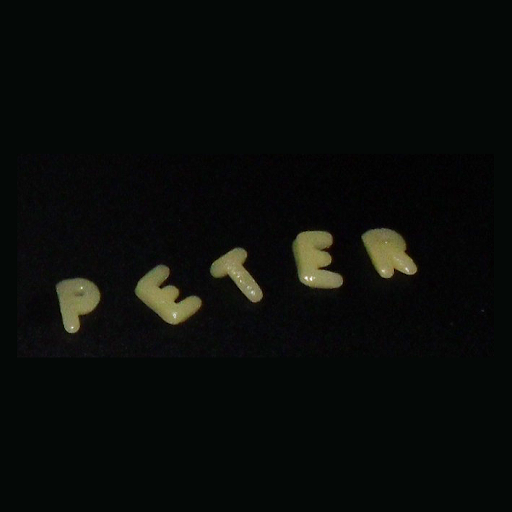 Peter Schneider Photo 45