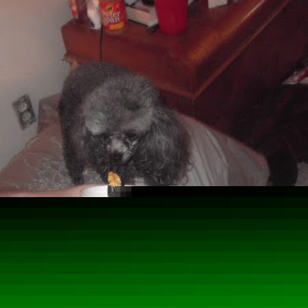 William Nunn Photo 11