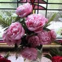 Kimberly Reuter Photo 15