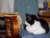 Carol Mcgregor Photo 14
