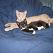 Doris Marshall Photo 11