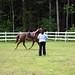 Vickie Young Photo 10