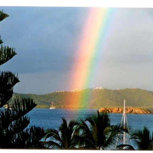 Connie Sutton Photo 34